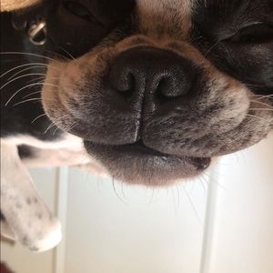 Meet your Posher, Eric